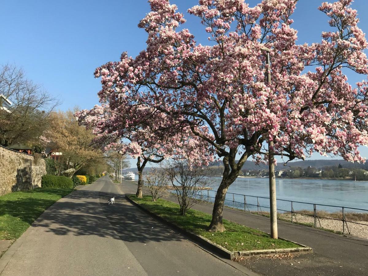 Ferienhaus Rheinperle Mit Garten In Remagen Am Rhein - Naehe Bonn Villa ภายนอก รูปภาพ